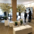 Furniture Hire