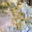Stage floating candle collection