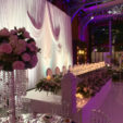 Ariella Backdrop