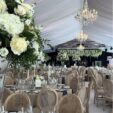 Hanging wisteria display